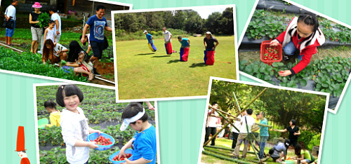 2017深圳親子游走進九龍山生態園，縱情山水間，親子拓展一日游方案